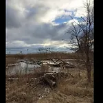 In