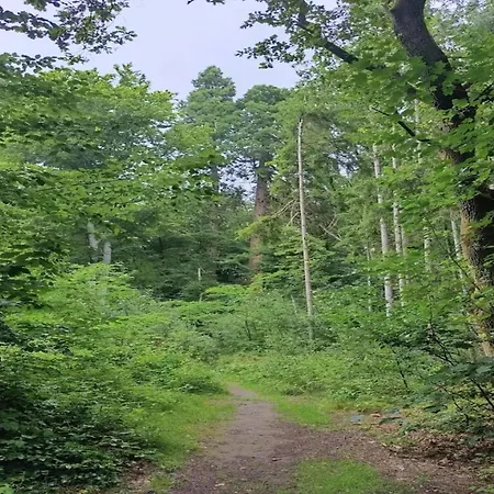 In * Wendorf (Kuhlen-Wendorf)