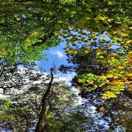 In Dom wakacyjny Wendorf (Kuhlen-Wendorf)