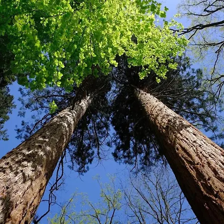 In Wendorf (Kuhlen-Wendorf)