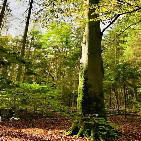 In Wendorf (Kuhlen-Wendorf)